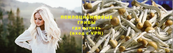 хмурый Абаза