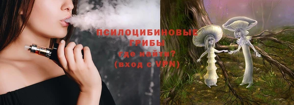 дурь Болохово