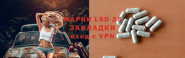 каннабис Болотное