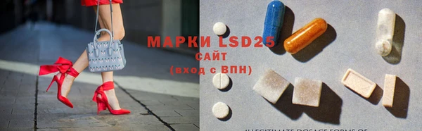 хмурый Абаза
