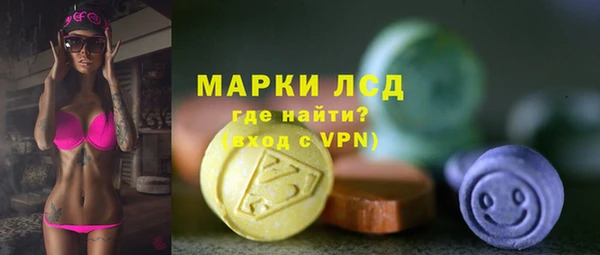 прущие грибы Абдулино