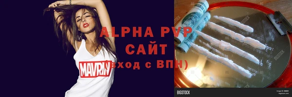 хмурый Абаза