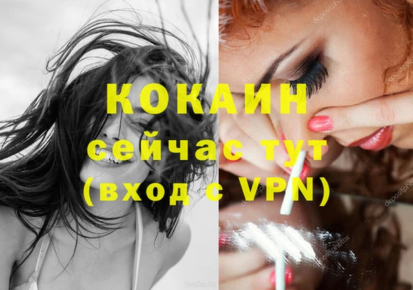 хмурый Абаза