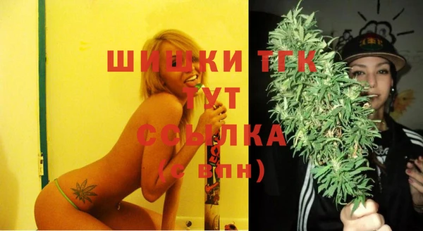 дурь Болохово
