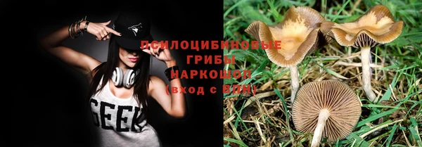 хмурый Абаза