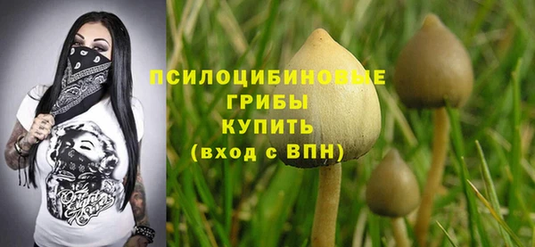 прущие грибы Абдулино